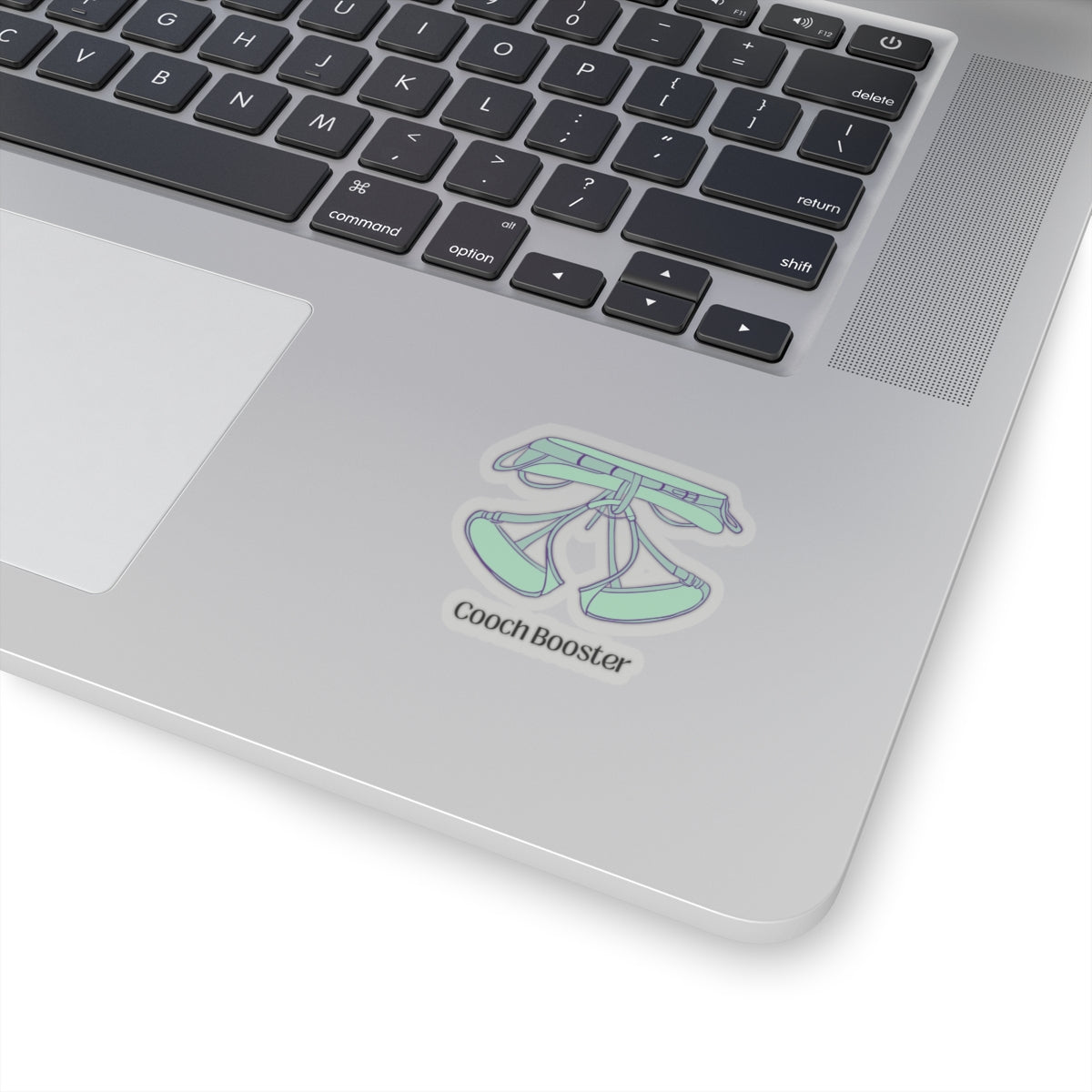 Kiss-Cut Stickers "Cooch booster"
