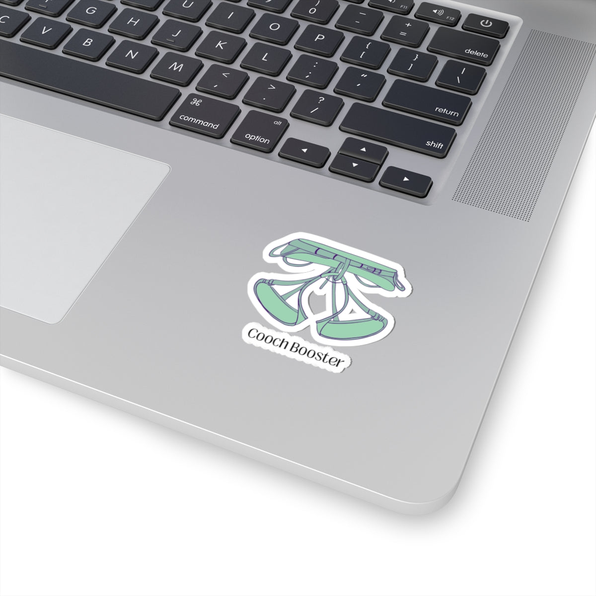 Kiss-Cut Stickers "Cooch booster"