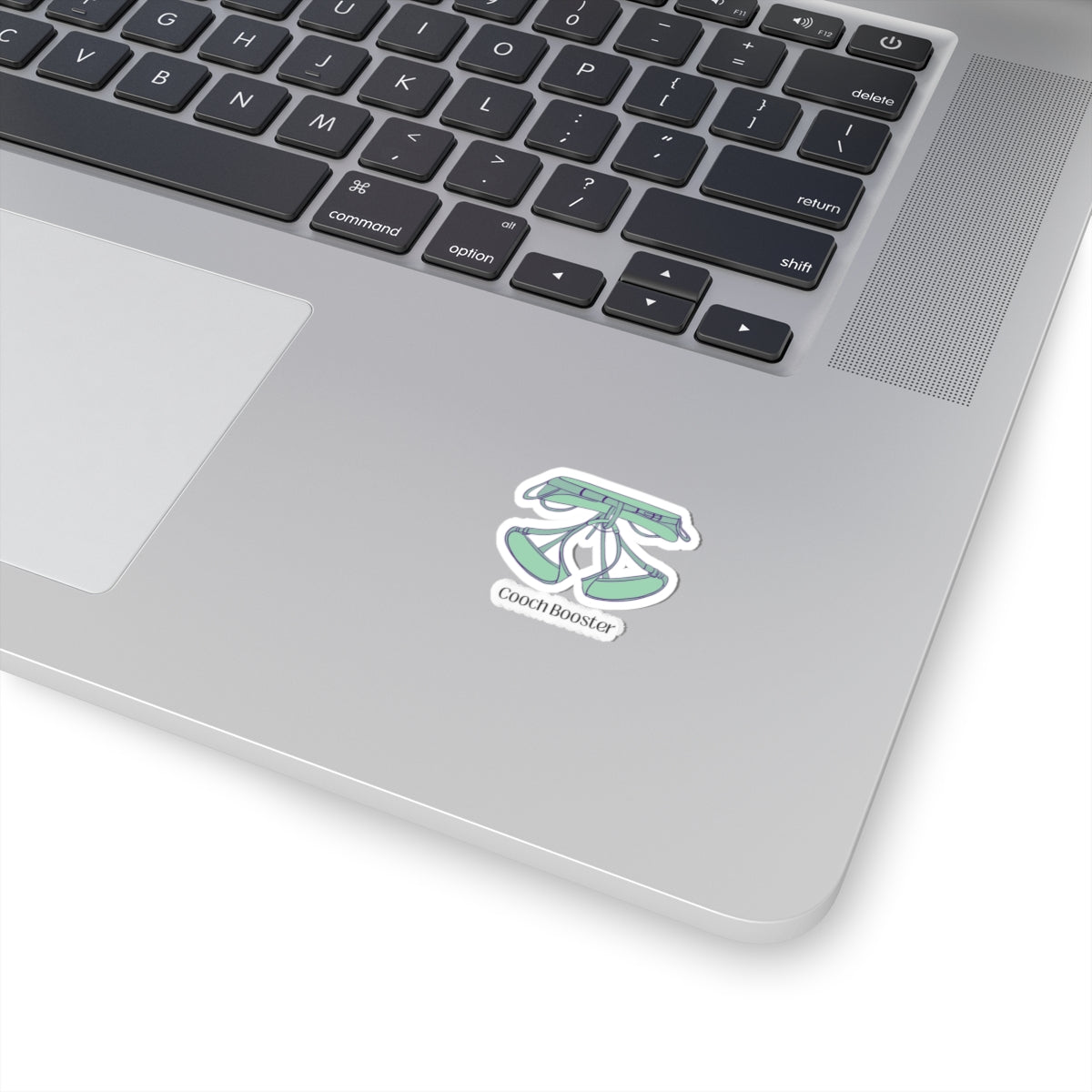 Kiss-Cut Stickers "Cooch booster"